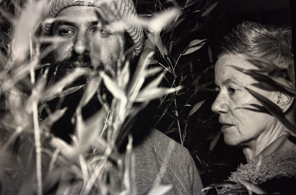 David’s Winter News