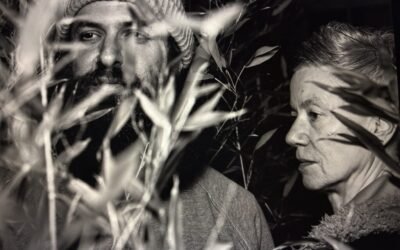 David’s Winter News